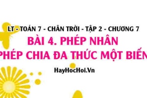 Phép nhân, phép chia hai đa thức một biến, tính chất phép nhân đa thức? Toán 7 chân trời tập 2 chương 7 bài 4